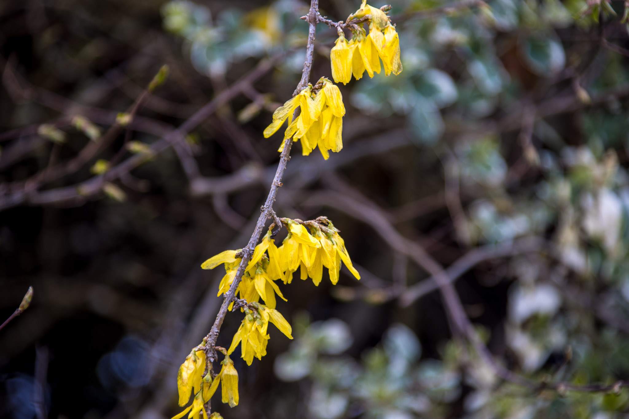 20220409142634 R5D 1309